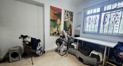 Blk 101C Punggol Field (Punggol), HDB 5 Rooms #579126141